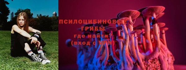 не бодяженный Болхов