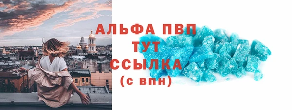 индика Козловка