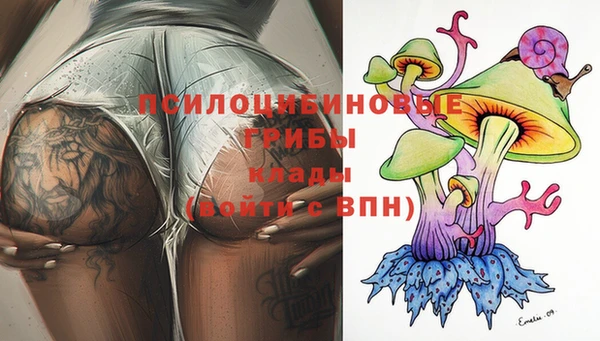 не бодяженный Болхов