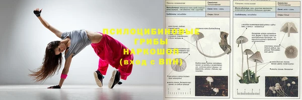 не бодяженный Болхов