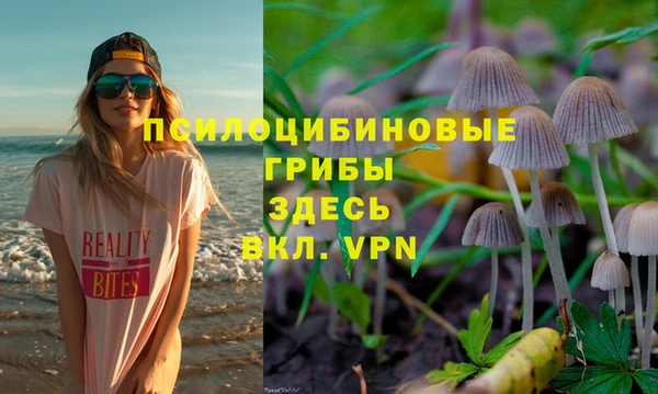 не бодяженный Болхов