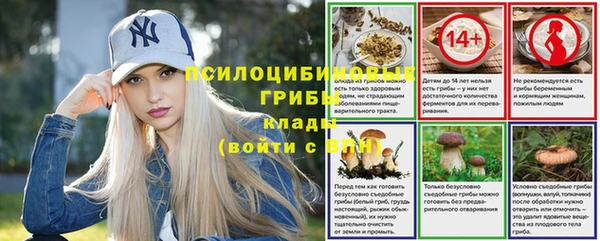 не бодяженный Болхов