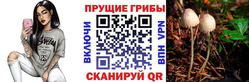 Псилоцибиновые грибы Psilocybine cubensis  кракен ТОР  Котельниково 